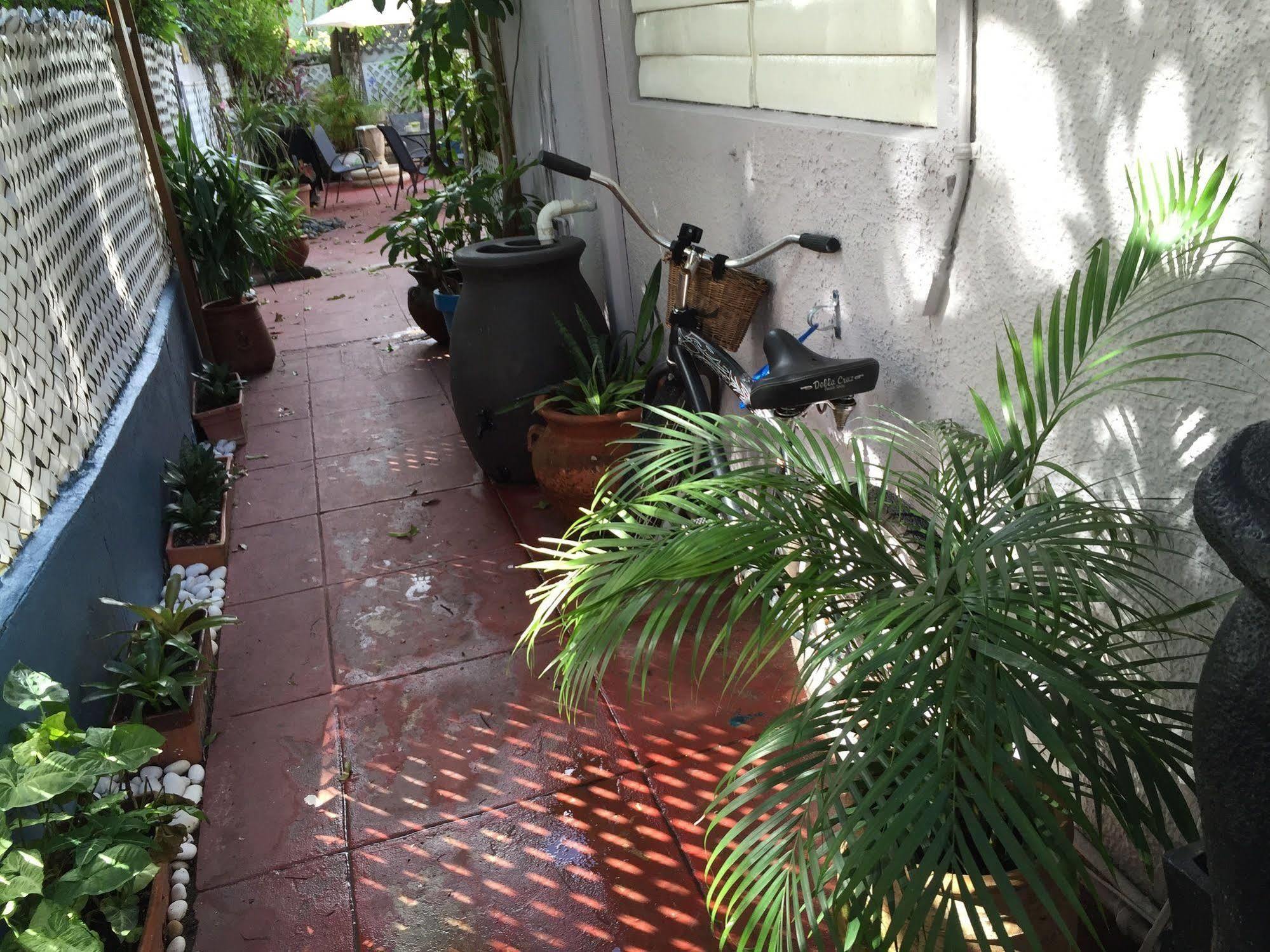 Lower Price, More Style, Discount Studio In San Juan,Pr, Beach, Free Bikes (Adults Only) Buitenkant foto